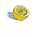 Lemon T-Shirt by evisionarts Lemon T-Shirt