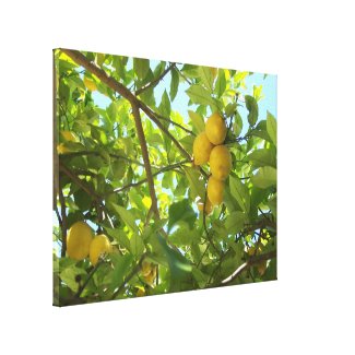 LEMON TREE CANVAS zazzle_wrappedcanvas