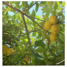 LEMON TREE NAPKINS