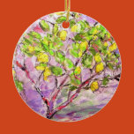lemon tree, citrus trees, fruit groves, lemon tree