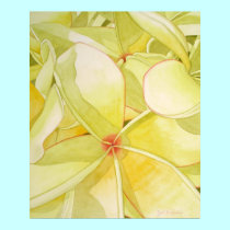Lemon Yellow Frangipani posters