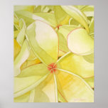 Lemon Yellow Frangipani Posters
