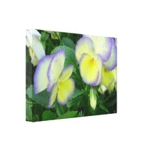 Lemon Yellow Pansies Gallery Wrapped Canvas