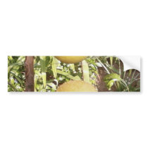 Lemons bumper stickers by lifesphere Lemons bumper stickers