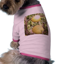 Lemons pet clothing by lifesphere Lemons pet clothing