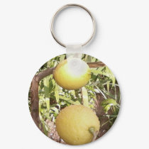 Lemons keychains by lifesphere Lemons keychains