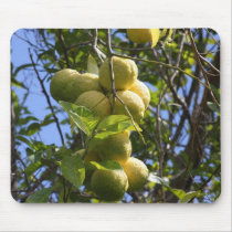 Lemons mousepads