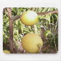 Lemons mousepads