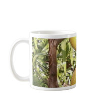 Lemons mugs