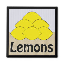 Lemons Series 2 Square Magnet by estjohn Lemons Series 2 Square Magnet