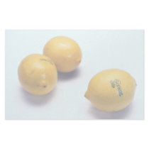 Lemons Stationery Design