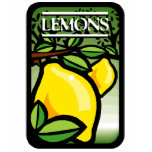 Lemons T-shirt
