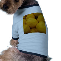 Lemony Lemons pet clothing by Debrene Lemony Lemons pet clothing