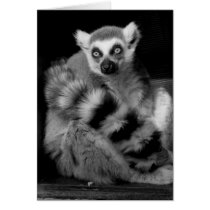 lemur cards