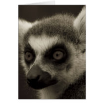 lemur face cards