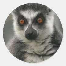 Lemur Face  Stickers