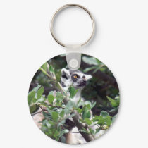 Lemur keychains by ForestPhoto Lemur keychains