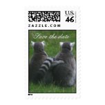 Lemur love! ... postage stamp