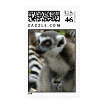 Lemur Monkey Postage Stamp