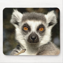 Lemur Mousepad by Irishdreams Lemur Mousepad