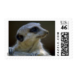 Lemur Stamps