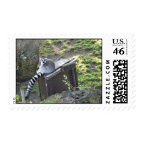 Lemur Postage stamps