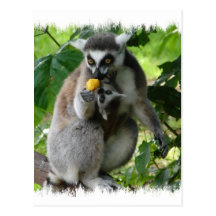 Lemur Postcard
