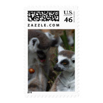 Lemurs Animals postage by lifesphere Lemurs Animals postage
