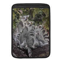 Lemurs in a Line Macbook Sleeves