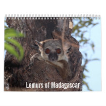 Lemurs of Madagascar Calendar calendars