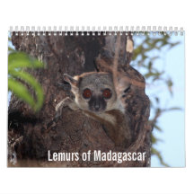 Lemurs of Madagascar Calendar