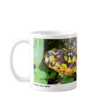 Lenni 01 mugs