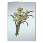 Lent Lily Cards