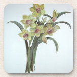 Lent Lily cork coasters