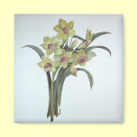Lent Lily magnets