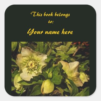 Lenten Rose Hellebore Bookplate Sticker