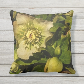 Lenten Rose Hellebore Flower Outdoor Pillow