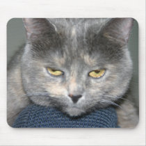 Leo-3 mousepads by jptanabe Leo-3 mousepads