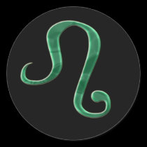 Leo #3 Sticker stickers
