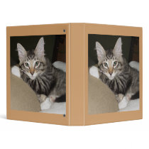 Leo 3 Ring Binder