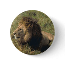 leo buttons