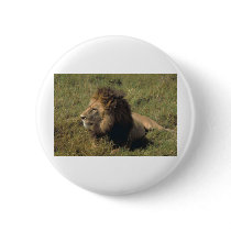 leo buttons