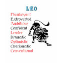 Leo Horoscope Zodiac Sign t-shirts