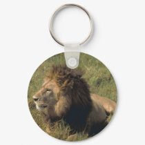 leo keychains by kathiscc leo keychains