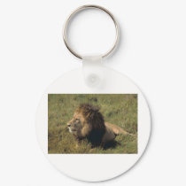 leo keychains by kathiscc leo keychains