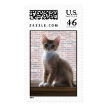 Leo Kitten postage by megnok Leo Kitten postage