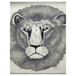 Leo Lion by Piliero flyers