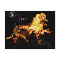 Leo - Lion postcards by BartBoese Leo - Lion postcards