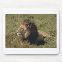 leo mousepads by kathiscc leo mousepads