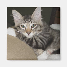 Leo Refrigerator Magnet